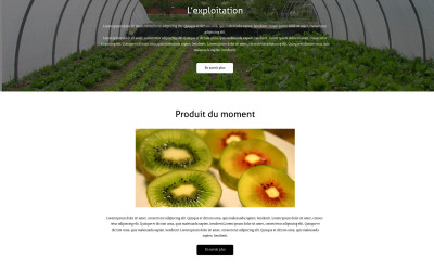 Création de site vitrine: Osma