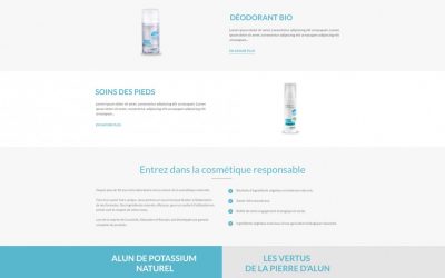 Créateur de sites internet Rhône alpes