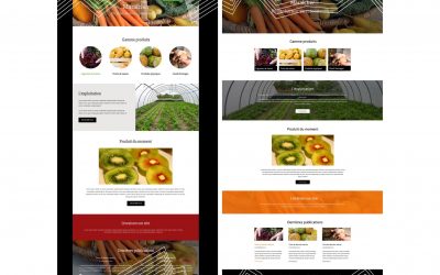 Création de site ecommerce Lyon